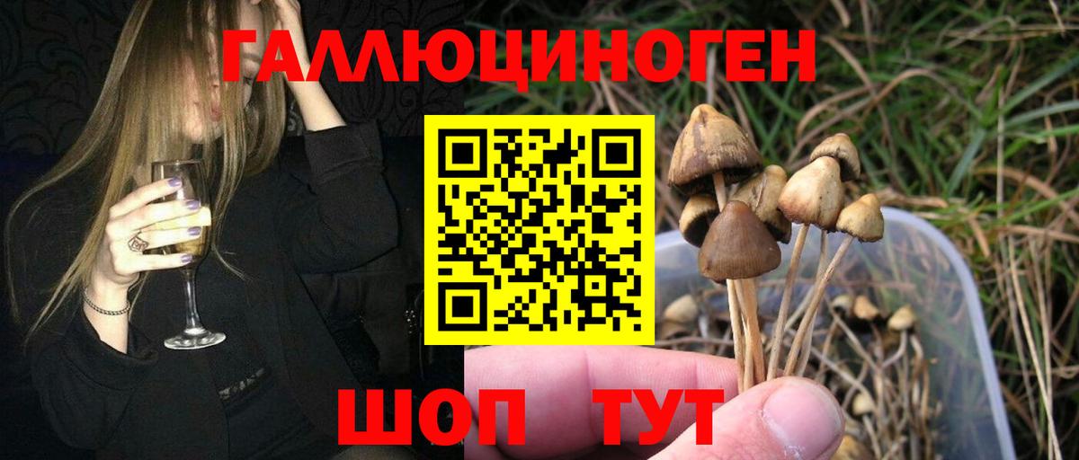 Псилоцибиновые грибы мухоморы Ухта